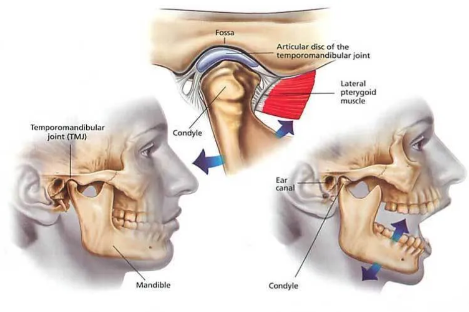 The TMJ Doctor